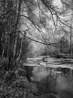 "Upper Shoals, The Trees, Geology, Water and Me"