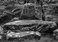 "Sacred Rock, Moss Garden Saihoj Rinzai Zen Temple"