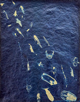"Great Upwelling Study 8"