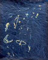 "Great Upwelling Study 9"
