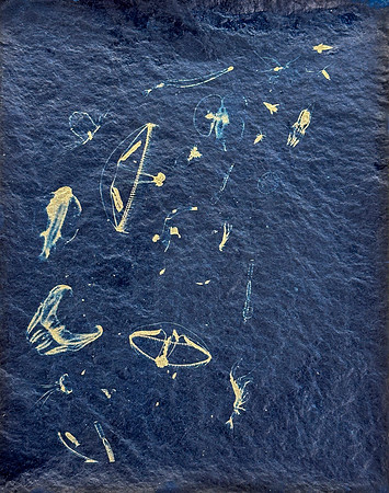 "Great Upwelling Study 9"