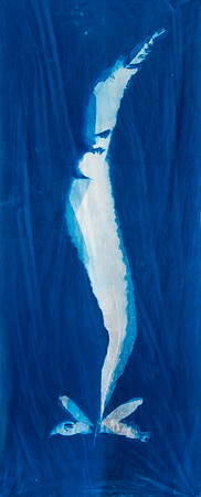 "Winged Kelp Study 3"