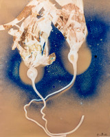 "Bull Kelp Study 8"