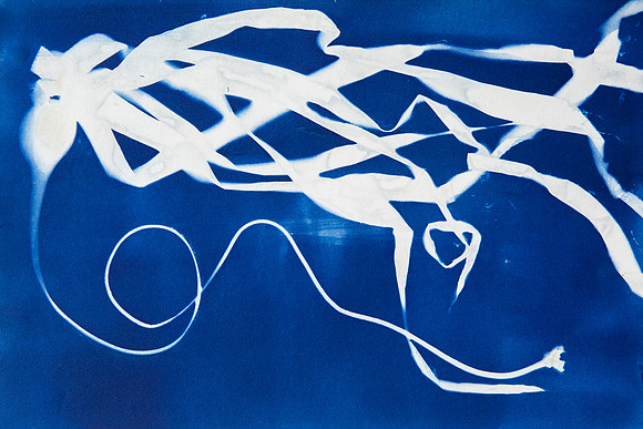 "Bull Kelp Study 6"
