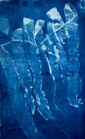20240713_Poindexter-Oriana_2023_Elkhorn-Kelp-Study-8_Cyanotype-on-canvas_82x54
