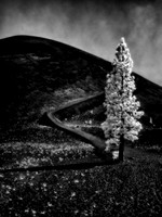 "cinder cone"