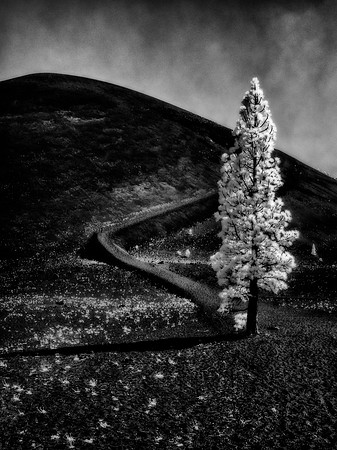 "cinder cone"