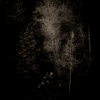 "Becoming"