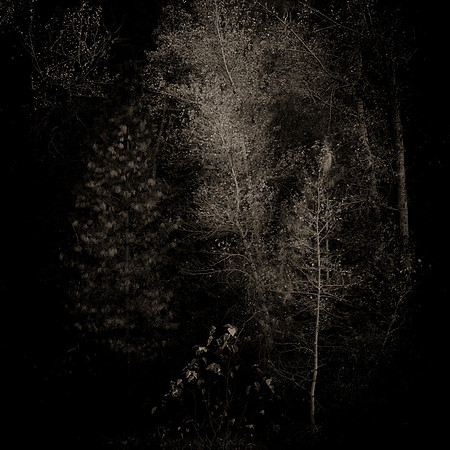 "Becoming"