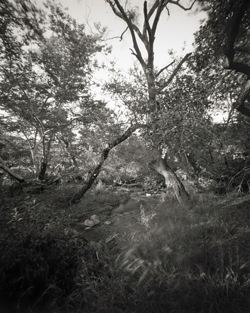 "For Time Immemorial"