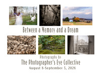 THE COLLECTIVE: Between a Memory and a Dream