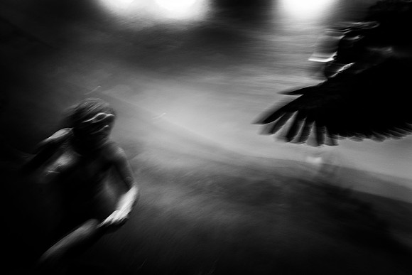 "Chased By Birds In My Dream"