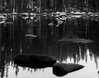 "Reflect, Yosemite"