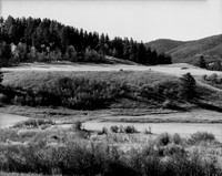 "Dream, Montana"