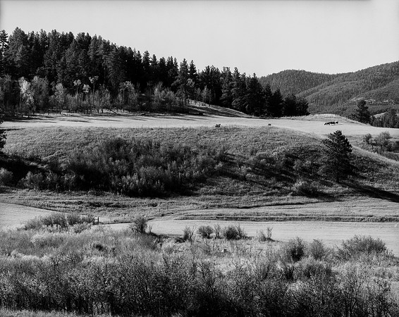 "Dream, Montana"