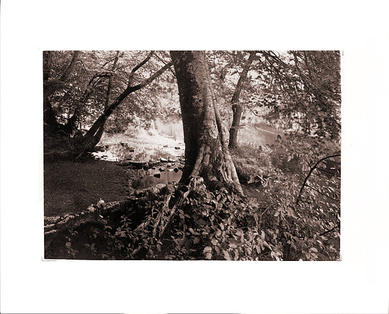 "Riverwalk Rivermill" by Holden Richards