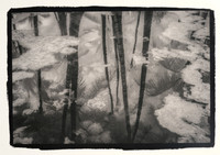 "Mana Reflections" by  Dennis Segers