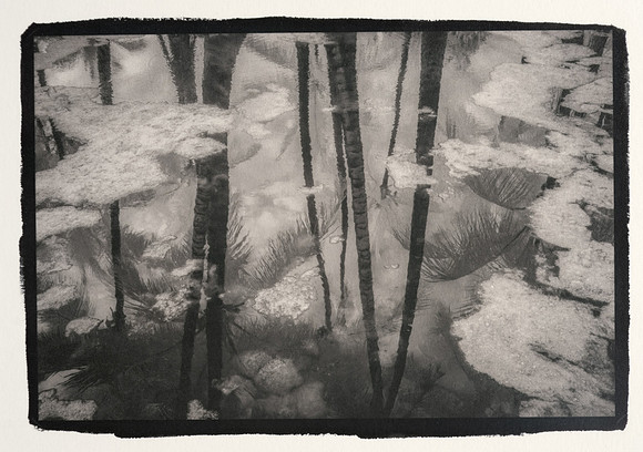 "Mana Reflections" by  Dennis Segers