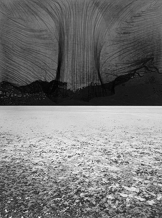 JURORS CHOICE "Mushroom Cloud at Badwater Basin, California" by  J. Jason Lazarus