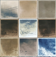 "assemble" by Janet Fine