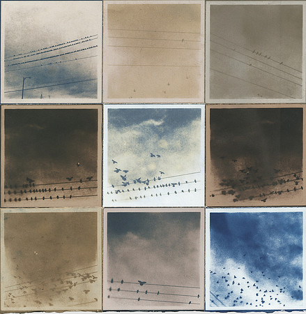 "assemble" by Janet Fine