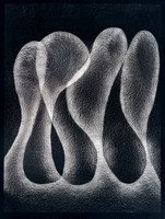 "Anonymous" by John Hesketh