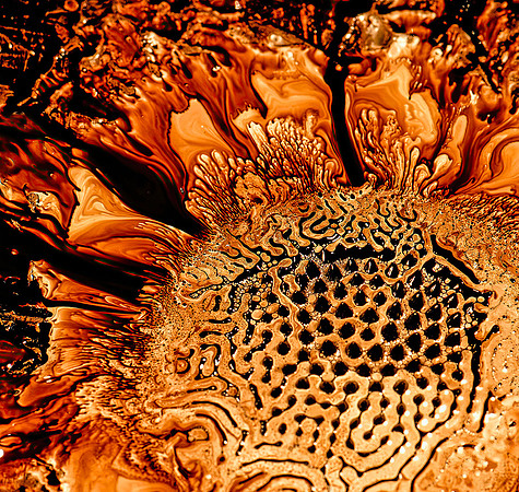 DIRECTORS CHOICE "Sunflower" by Lori Pond