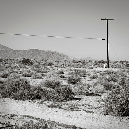 "Pole and Distant Mountain"