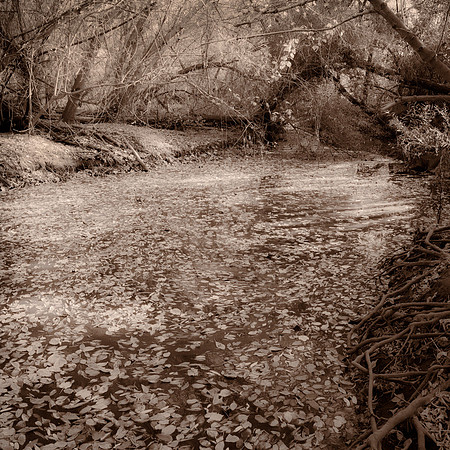 "Sheltered River"