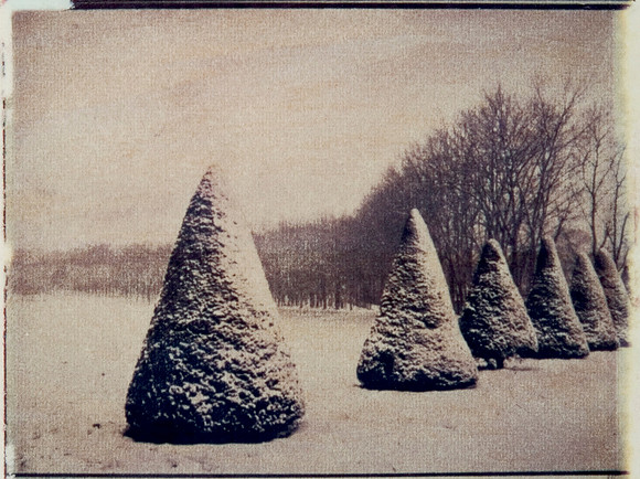 "Marly Park, yew trees perspective"