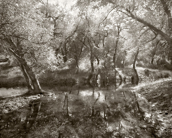 "Spirits"