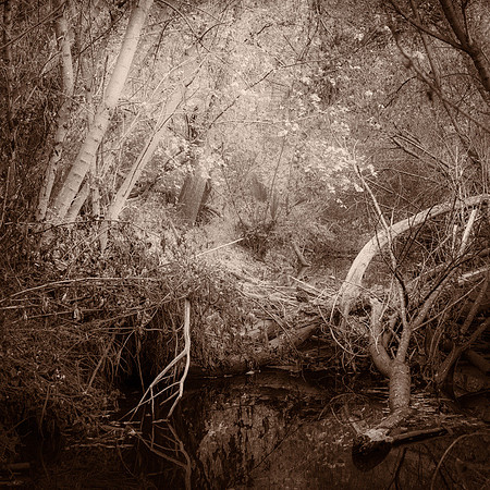 "Hidden Place"