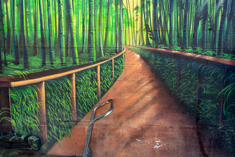 "Nature Portrayed #3 - Cart Handle On Path"