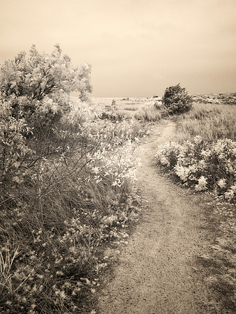 "Along the way"