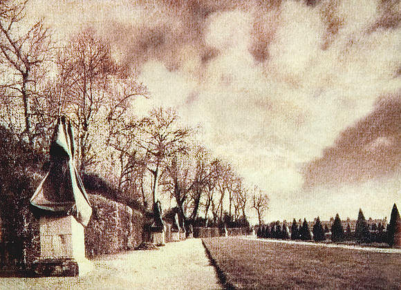 "Versailles gardens, covered statue and yew trees alley"