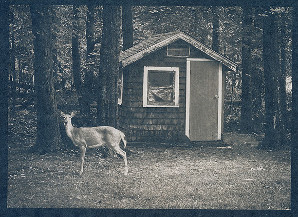 "Deer and Dollhouse"