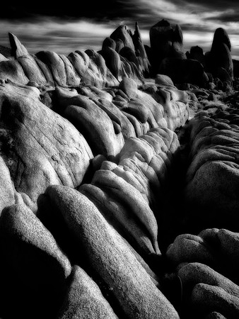 "Dragon's Teeth"