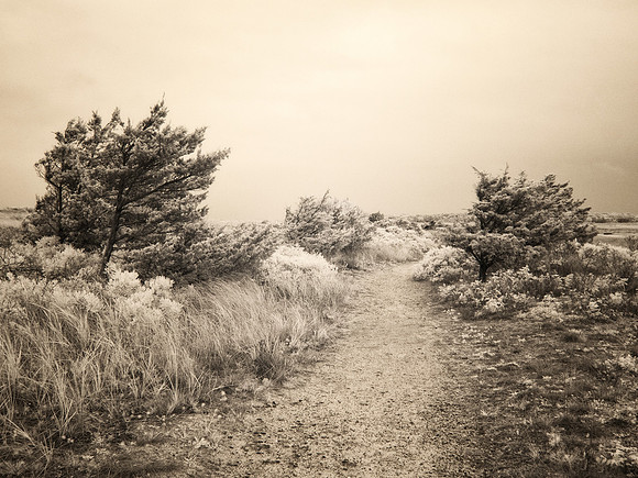 "Moving Toward"