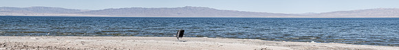 "Salton City"