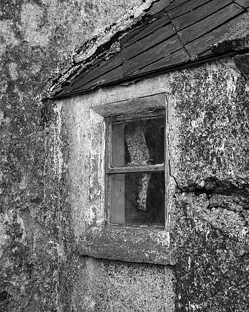 "Abandoned House #2"