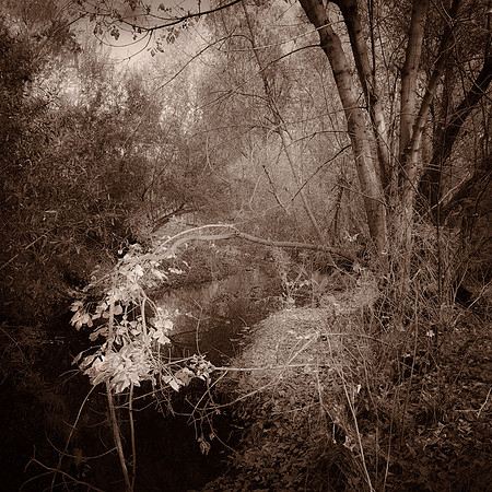 "Lucent"