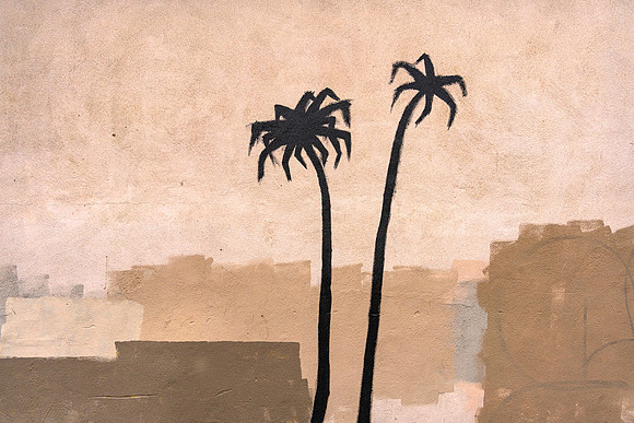 "Nature Portrayed #1 - Two Palms"