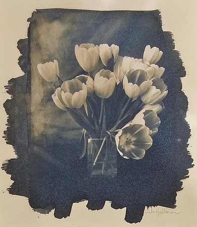"Gallery Tulips 1"