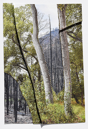 "California Burn Scar"