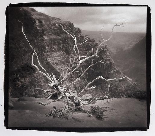 "Legacy, Waimai Canyon"