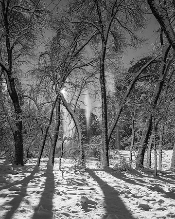 "Sunrise After the Snowstorm"