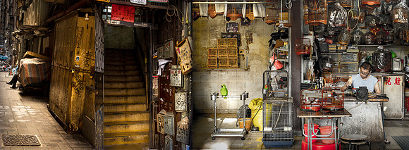 "Bird Market"