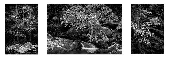 Unknowable     the river hides a thousand secret shelters     on the far side