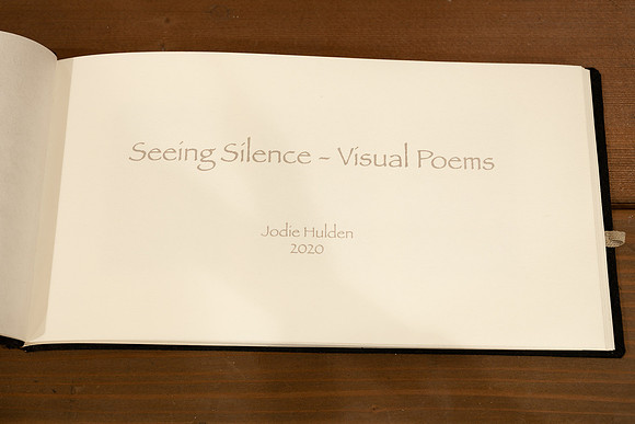 Seeing Silence Inside Page