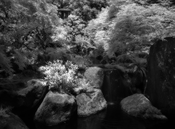 "tranquil waters"